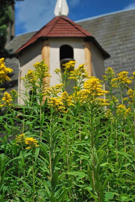 Camping Les Tournesols Sillé-le-Guillaume المظهر الخارجي الصورة
