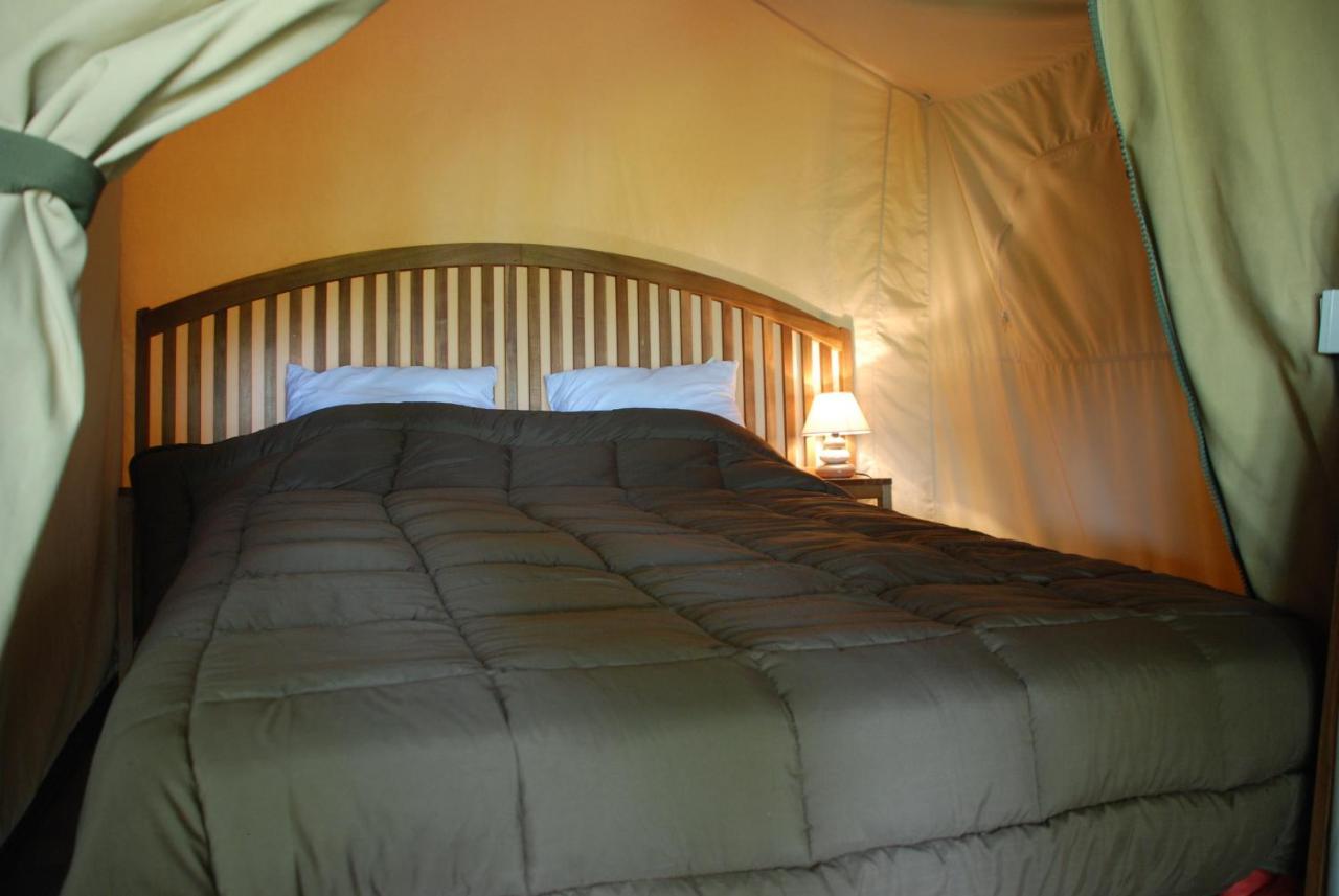 Camping Les Tournesols Sillé-le-Guillaume المظهر الخارجي الصورة